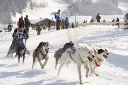 Lenk 2012 SM